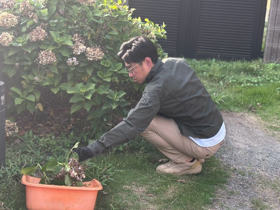 庭まわりの草むしり作業